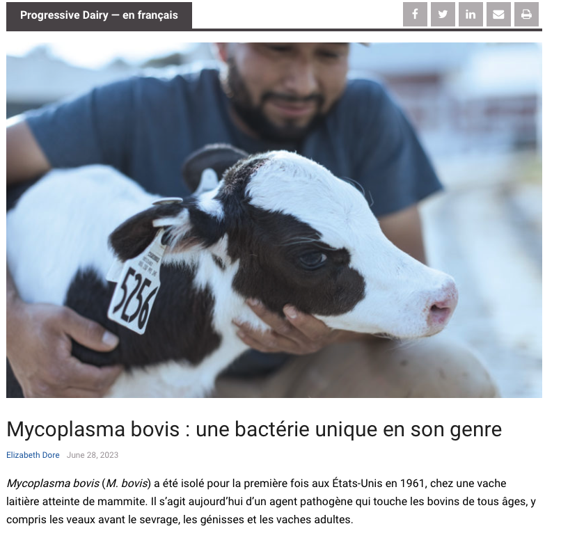 Article Mycoplasma bovis : une bactérie unique en son genre